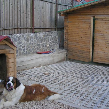 Vila Maria Rustic Predeal Quarto foto